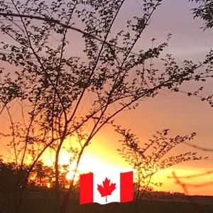 Meet your Posher, Zora